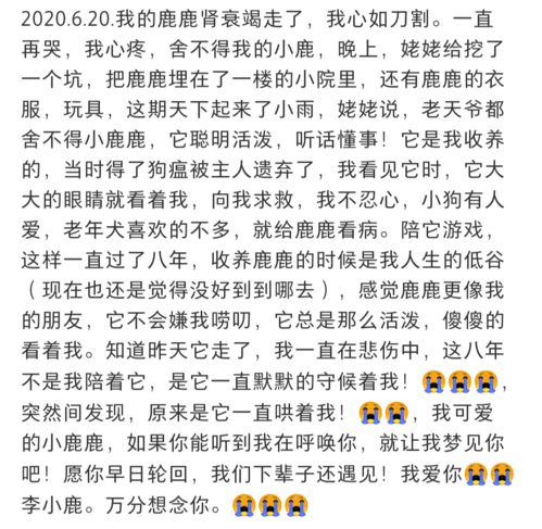狗肾衰竭还有救吗