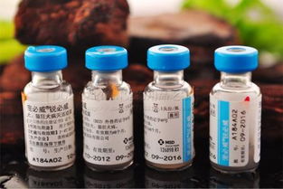 狗国产疫苗和进口疫苗