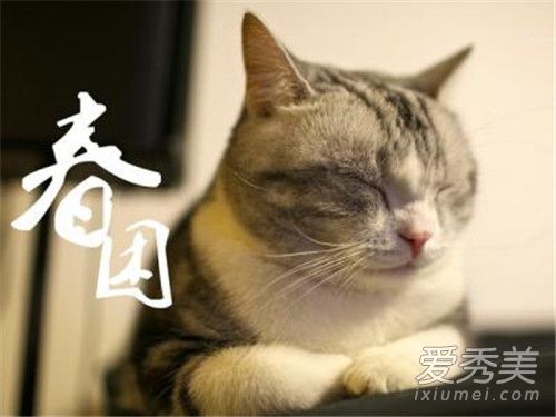 狗狗春天是不是容易犯困