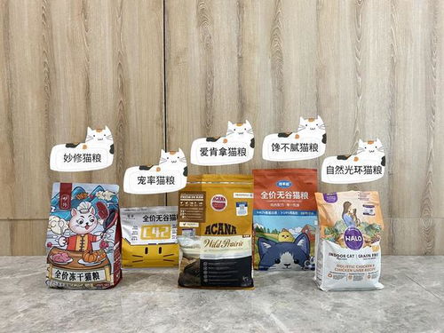 多久换一款猫粮