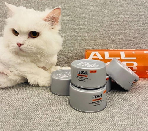 猫罐头主粮哪个牌子好