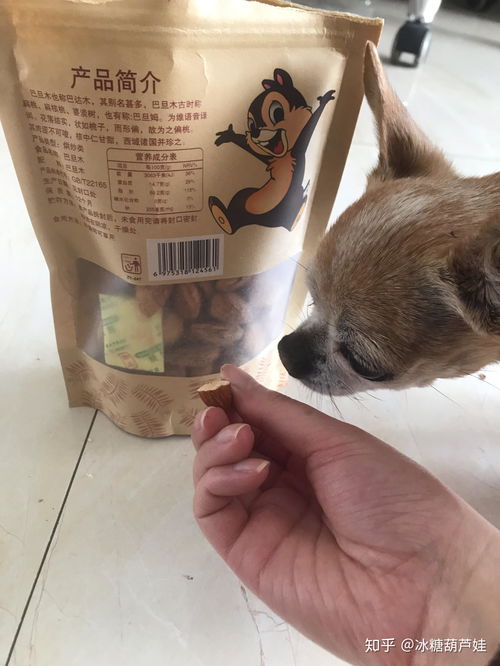 小狗可以吃什么零食-
