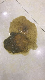 狗狗拉稀水样大便腥臭吃什么药