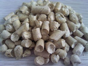 一袋猫砂用多久合适
