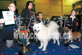 泰国有什么名犬