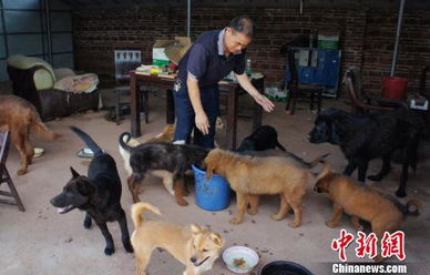 廊坊狗舍