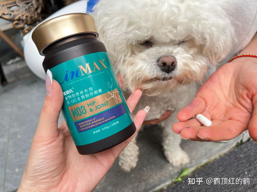 狗狗治疗关节的药