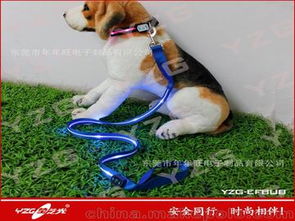宠物狗的牵引绳怎么带