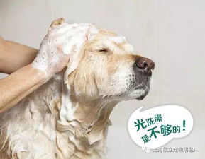 宠物为什么要体内驱虫