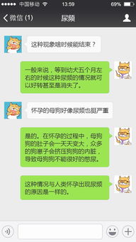狗狗产后尿频怎么回事