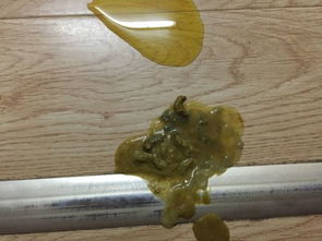 狗狗拉稀黄黄的粘液