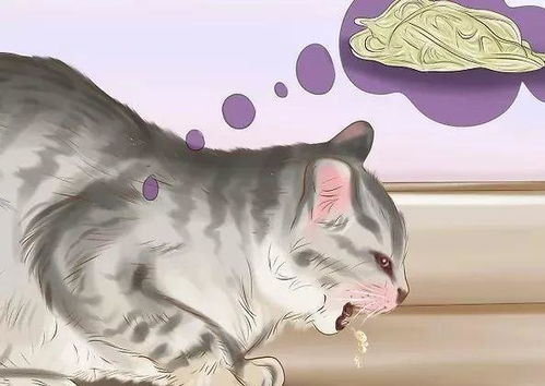 怎么判断猫咪要驱虫了