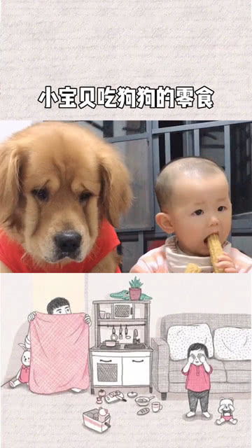 狗狗小零食吃什么