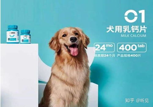 小狗需要吃什么营养品