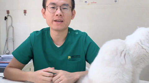 猫多久打疫苗最合适