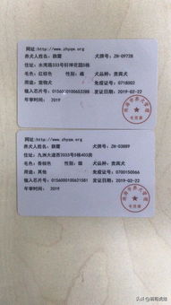 狗狗疫苗证书