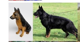 黑狼犬与东德的区别