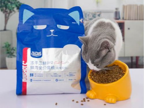 如何搭配猫粮