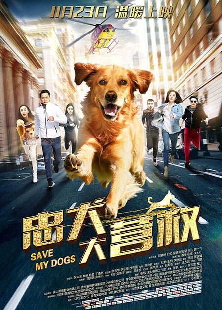播放与狗有关的电影