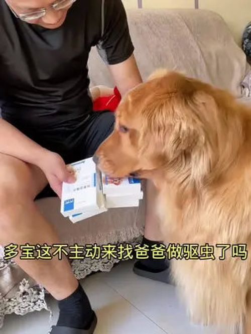 幼犬多久做一次内驱和外驱