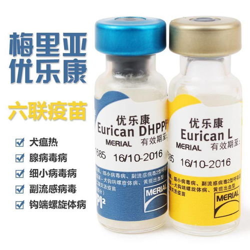 小狗疫苗有哪些牌子