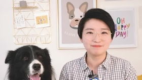 闵行区宠物打疫苗去哪