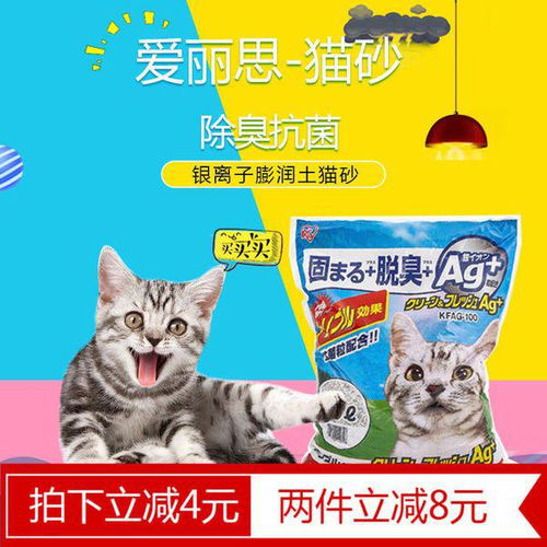 养猫要买什么吃的