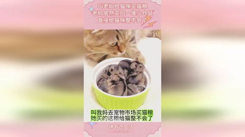 买点猫粮