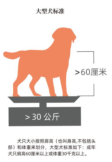 沈阳犬类禁养名录