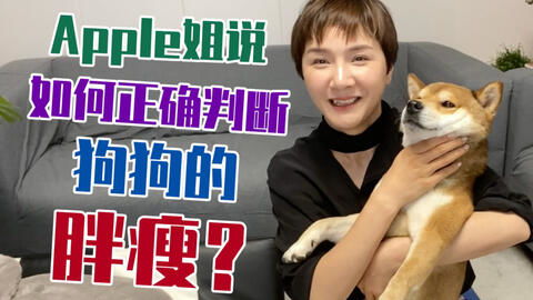如何判断狗的胖瘦情况