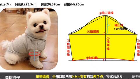 自制幼犬牵引绳