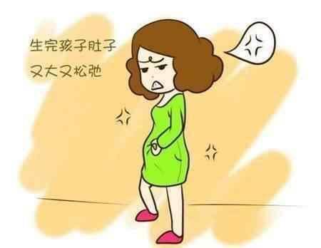 狗产后肚子大怎么减肥