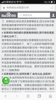 比熊狗吐黄粘液怎么回事