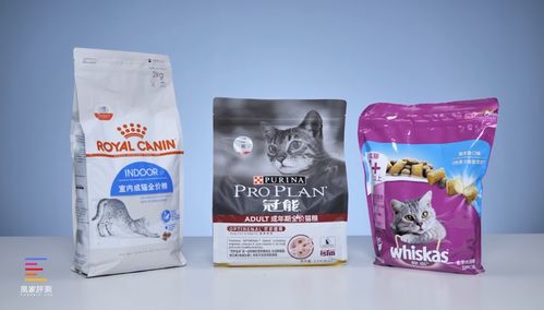 吃了毒猫粮会出现什么情况-