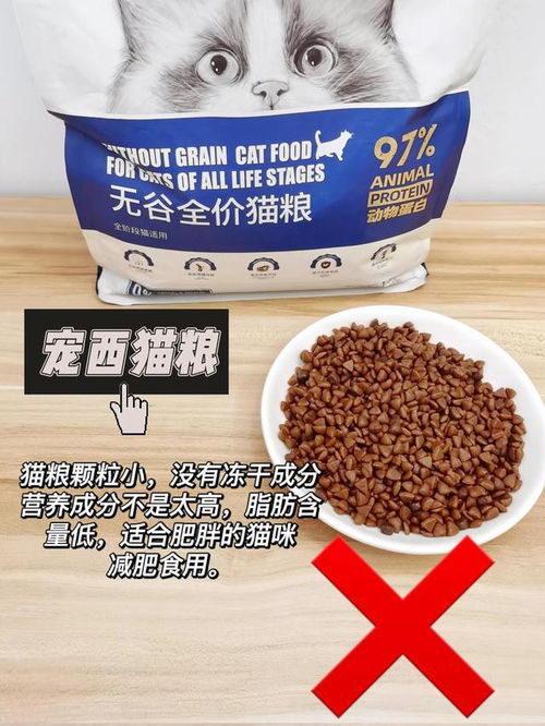 如何选择适合的猫粮