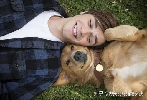 公狗配狗次数