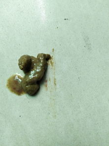 狗狗吃过驱虫药拉稀了