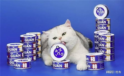 猫罐头兑水放一天有问题吗
