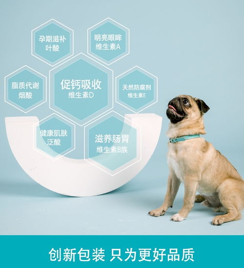 狗狗补充维生素有什么作用