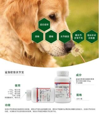 狗关节炎用什么药