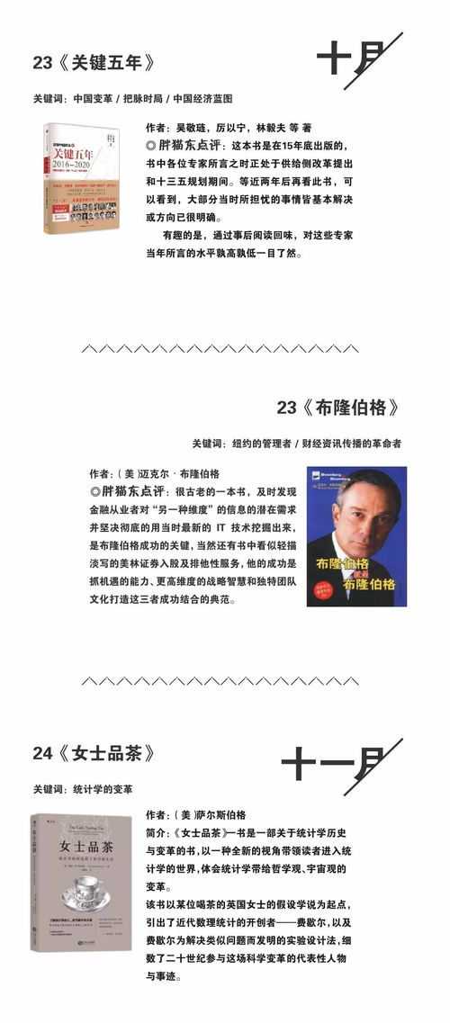 胖猫推荐