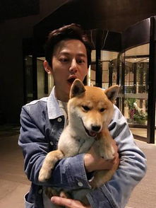 养狗的男艺人