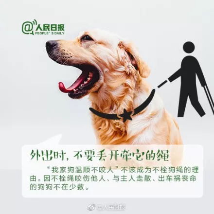 养狗都要做什么准备