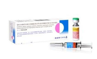 狗疫苗五联是什么疫苗