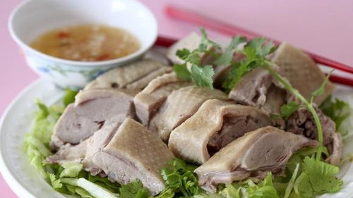 给猫吃牛肉要煮熟吗