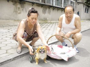 小狗买回来多久打针