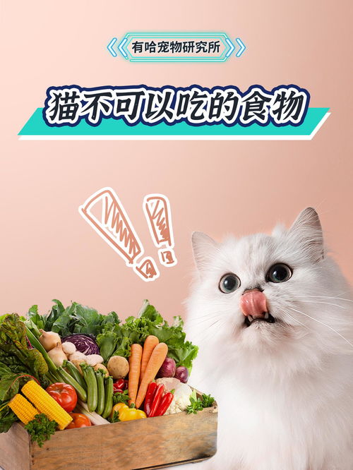 猫可以多久不吃食物