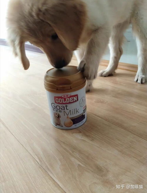 狗狗喝羊奶粉容易拉稀吗