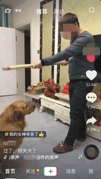 用宠物狗做抖音怎么做