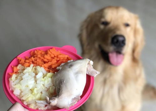 宠物狗吃鸡胸肉怎么做
